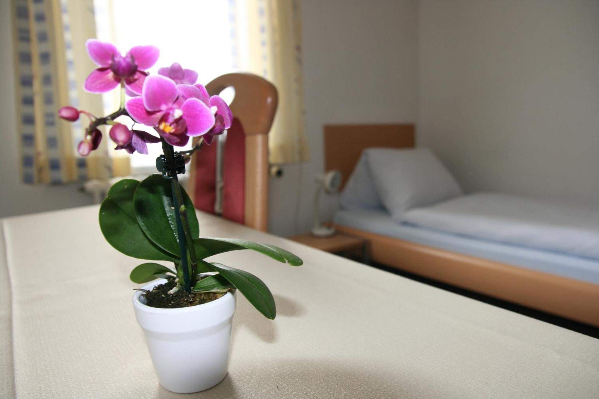 Hotel Glaernisch Hof Horgen Eksteriør billede