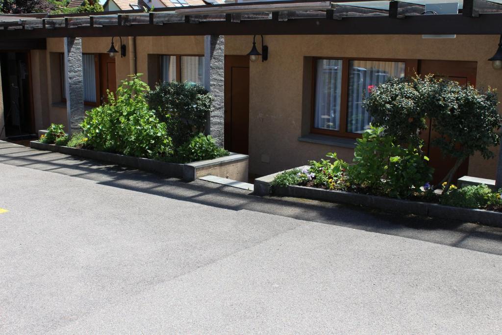 Hotel Glaernisch Hof Horgen Værelse billede
